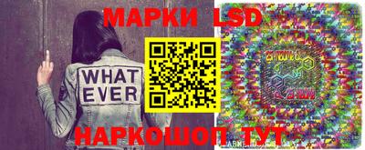 стафф Бердск