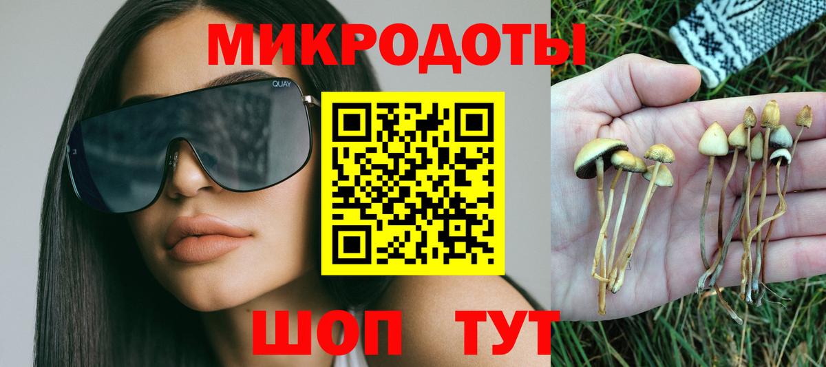 Белогорск  Галлюциногенные грибы Psilocybe  Галлюциногенные грибы Cubensis  Вход с VPN 